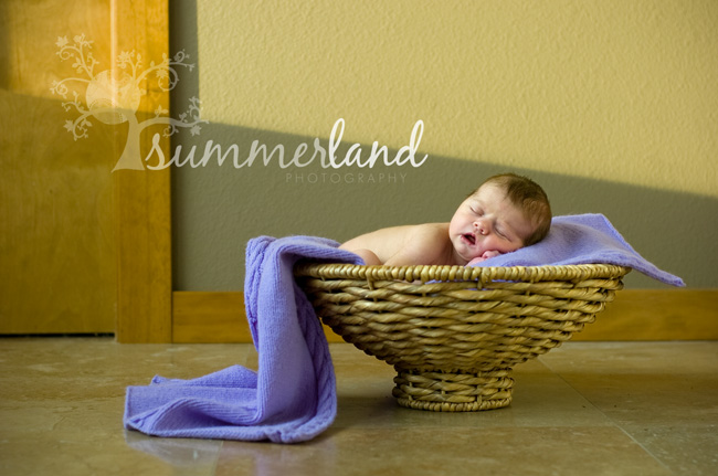 baby in basket Moses Lake newborn photography portrait session by Summerland Photography