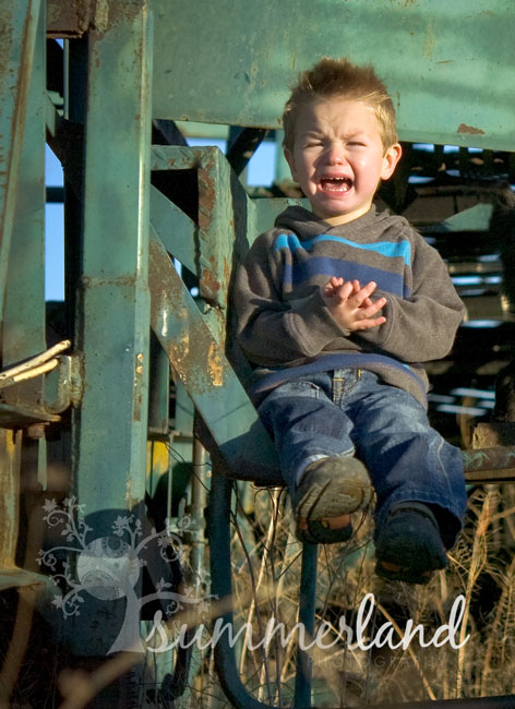 child, Othello, photography, farm