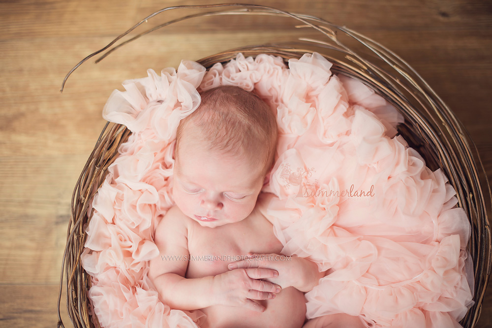 Moses Lake newborn baby pics in peach ruffles and twig basket